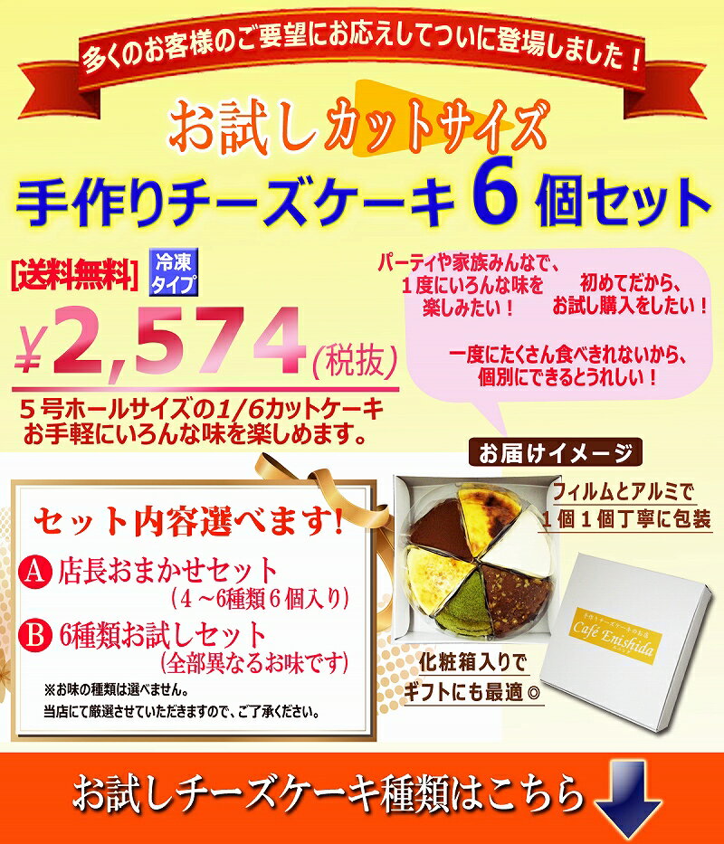 お試し 送料無料 チーズケーキ カットサイズ6個セット スイーツ お取り寄せ 誕生日 ケーキセット 詰め合わせ バラエティ 訳あり アソート お中元 ギフト