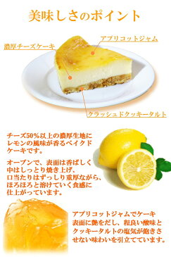 ベイクドチーズケーキ 【チルド冷蔵】【スイーツ ギフト 洋菓子 Gift】【楽ギフ_のし宛書】誕生日ケーキ バースデー・記念日に生ケーキ Sweets