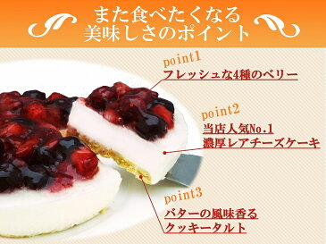 誕生日ケーキ クリスマスケーキ★送料無料★4種のベリー チーズケーキ【ローソク・プレート・手紙付】 バースデーケーキ クリスマス 誕生日 ケーキ フルーツケーキ