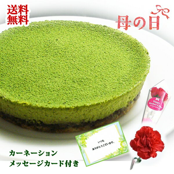 母の日 早割 花 スイーツ 抹茶チーズケーキ・カーネーション・メッセージカード付 花とスイーツ 抹茶 スイーツ 洋菓子 送料無料 ギフト プレゼント