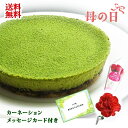 抹茶チーズケーキ 母の日 花 スイーツ セット 抹茶チーズケーキ・カーネーション・メッセージカード付 花とスイーツ 抹茶 洋菓子 和菓子 コラボ 送料無料 ギフト プレゼント