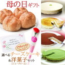 ★送料無料★母の日 ギフト選べる!人気のチーズケーキと洋菓子(シュークリーム)・カーネーション・カード付セット 【お誕生日 記念日 御中元 贈答 結婚祝い 快気...