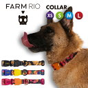 【zee.dog official web store】 COLLAR 首輪 XS/S/M/Lサイズ【FARM RIO】 犬 バックル 簡単着脱 おしゃれ あす...