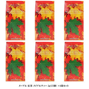 メープル 紅茶 メイプルティー 2g(15個) ×6箱 お得セット ティーバッグ カナダ 土産 芳醇で高級な香り セイロン フレーバーティ 旅行 激安 ネット通販5