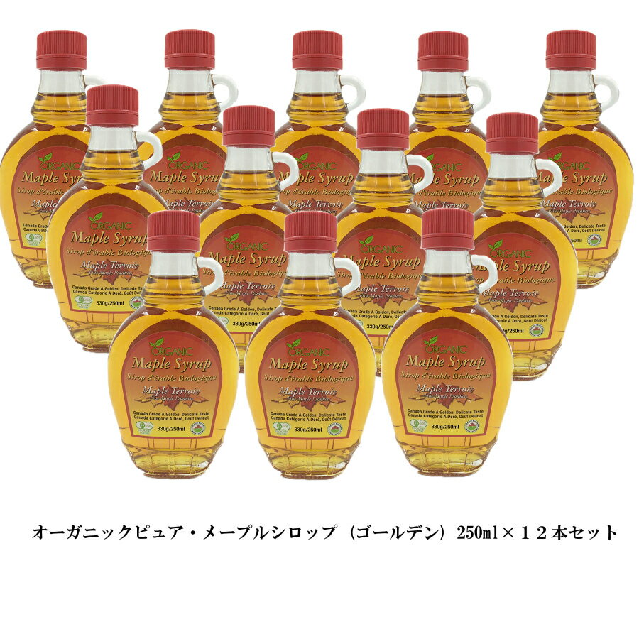 数量限定SALE オーガニック メープルシロップ 330g (250ml）レオーン型 ×12本 まとめ買い ガラス瓶 有機JAS メープルテルワー 100％ピュア メイプルシロップ グレードA ゴールデンデリケートテイスト（旧エキストラライト）無料でレシピ本、お土産袋つき♪ カナダ土産用