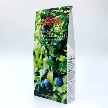ブルーベリー 紅茶 ブルーベリーティー 2g(15個) ×5箱 お得セット ティーバッグ カナダ土産 芳醇で高級な香り ブルーベリー セイロン フレーバーティ カナダ旅行 おみやげ 激安 ネット通販