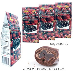 チェリー まるごと チョコレート 各100g 【3箱セット】 カナダ 土産 グルメカナディアーナ 人気 カナダ旅行 お土産袋 日本語シールはがし