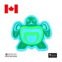 ネイティブ柄 ワッペン カナダ 先住民 インディアン 雑貨 TURTLE 亀