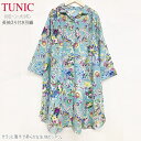 TUNIC `jbN ݕt  HD 89107 t[TCY ~g 100 TbƔŏ_炩Ȑn