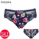 Antinea アンティネア タンガ Tバック ショーツ レディース 38 40 CCC0064 下着 透け感 きれい 高級ランジェリー インポートランジェリー...