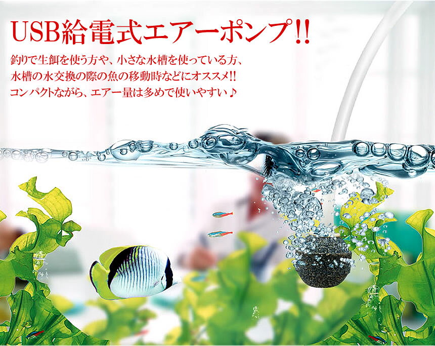 エアーポンプ 釣り USB 給電式 ポータブル コンパクト 持ち運び ブクブク 水槽 ホース ストーン 付き セット通販格安セール情報 楽天 通販