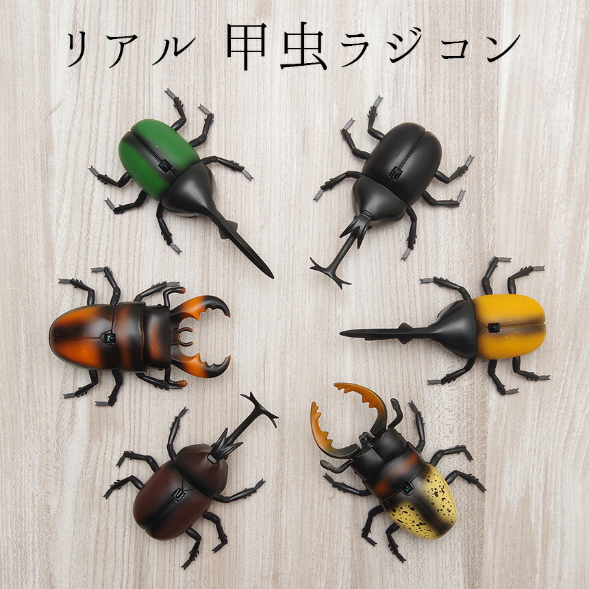 【送料無料】リアル 甲虫 ラジコン 昆虫 虫 RC 簡単 操作 子供向け 赤外線 通信 コンパクト