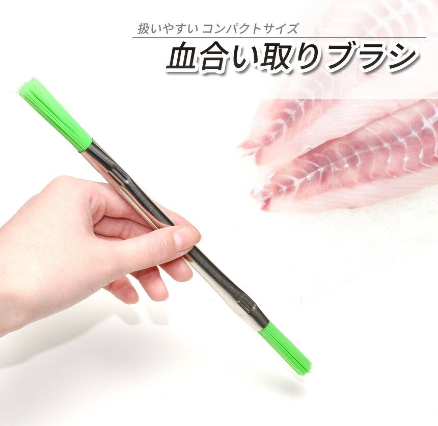 魚 ささら 血合い取り 魚の内臓取り 5本セット キッチン ブラシ たわし うろこ取り 掃除 調理器具 料理 ササラ 2