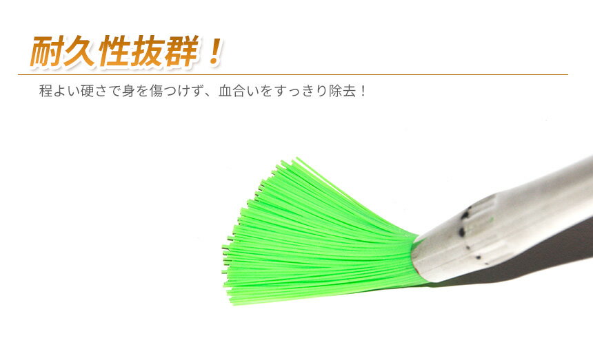 魚 ささら 血合い取り 魚の内臓取り 5本セット キッチン ブラシ たわし うろこ取り 掃除 調理器具 料理 ササラ 3