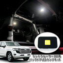 トヨタ ランドクルーザー300（R3.8~）用 バックドアLEDランプキット（パネル1点） TOYOTA LANDCRUISER PANEL BACKDOOR 面発光 LED 純正パネル使用 ランクル300