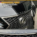 レクサス NX用 (LEXUS 文字) カスタムロゴエンブレム2色（クロームメッ