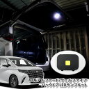 トヨタ 40系 アルファード / ヴェルファイア用 バックドアLEDランプ (単品) バックゲート 面発光LED TOYOTA ALPHARD VELLFIRE BACKDOOR BACKGATE PANEL 40アルファード 40ヴェルファイア 純正パネル使用