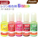【リュミエラ】レジン着色料【パールカラー1 10ml×5色セット】 マーガレット カメリア ピンクスター プラムブラウン ペパーミント UVレジン レジン液 液...