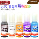 【リュミエラ】レジン着色料【パールカラー2 10ml×5色セット】 ジェットブラック ミルキーウェイ ファーストスター コズミックパープル ブルースカイ UVレジン レジン液 液体レジン用着色料 着色 レジンカラー おうち時間 その1