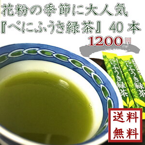 【 花粉症の皆さま必見！ べにふうき緑茶 1.2g×40本 】ゆうパケット送料無料