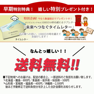 【ポイント15倍 4/28 10:00〜5/8 9:59】ふわりぃ 2019年 型落ち コンパクト クラッシック 女の子用 クラリーノF ランドセル 03-15300 日本製 女の子 軽量 A4ポケットファイル対応 かわいい プレゼント お祝い 入学祝い