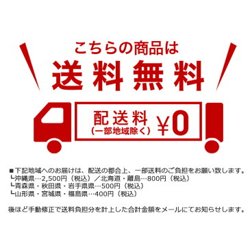 ひらがな地球儀 子供用 子ども インテリア 絵入り 地球儀 日本製 付録付き 学習用 おすすめ 子供 幼児 低学年 教材 学習 入学祝 入園祝 世界の国旗 日本地図付き 低反射 手貼り クリスマス プレゼント 送料無料 26cm 26-hap-r3