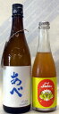 あべ ブルー720mlとあべ コーラSAKE 350mlの 2本セット【要冷蔵商品】(4)