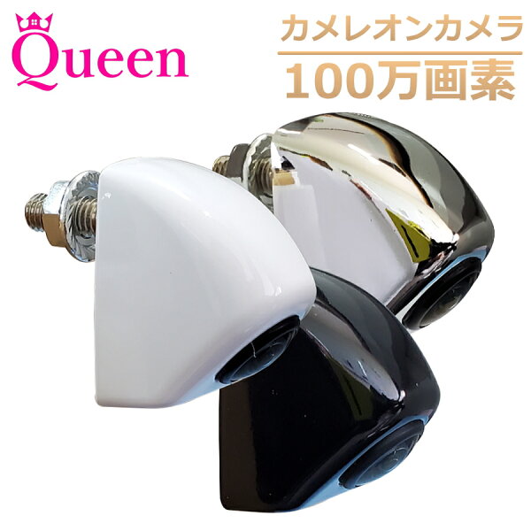 店内 MAX28%還元セール バックカメラ超小型カメレオンナンバー12v24vナンバープレート100万画素超広角170°Que