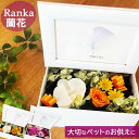 ペット 写真立て フォトフレーム お悔やみ お供え 花 光触媒 胡蝶蘭 ギフト 贈り物 プリザーブドフラワー 仏花 写真立て 枯れない花 遺影 仏壇 ペット用 仏具 造花 猫 犬 初盆 ウサギ 喪中見舞い 一周忌 四十九日 仏壇 お盆 新盆 初盆 お彼岸 法事 わんちゃん プレゼント