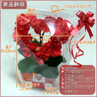 プレゼント送料無料花誕生日胡蝶蘭マイクロミニ造花開店祝いミディハート型プチ光触媒送料無料豪華誕生日ギフトあす楽開業祝開店祝いコチョウランココキャンフラワー蘭敬老の日お歳暮