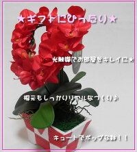 プレゼント送料無料花誕生日胡蝶蘭マイクロミニ造花開店祝いミディハート型プチ光触媒送料無料豪華誕生日ギフトあす楽開業祝開店祝いコチョウランココキャンフラワー蘭敬老の日お歳暮