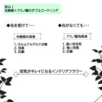 壁掛け額母の日モダン令和プレゼントギフト胡蝶蘭造花光触媒お祝い開店祝い花あす楽送料無料喜寿米寿祖母義母還暦100歳百寿白寿敬老の日誕生日長寿ココキャンフラワー