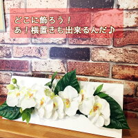 壁掛け額母の日モダン令和プレゼントギフト胡蝶蘭造花光触媒お祝い開店祝い花あす楽送料無料喜寿米寿祖母義母還暦100歳百寿白寿敬老の日誕生日長寿ココキャンフラワー