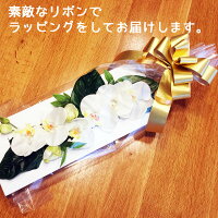 壁掛け額母の日モダン令和プレゼントギフト胡蝶蘭造花光触媒お祝い開店祝い花あす楽送料無料喜寿米寿祖母義母還暦100歳百寿白寿敬老の日誕生日長寿ココキャンフラワー