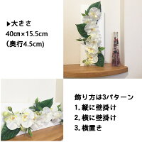 壁掛け額母の日モダン令和プレゼントギフト胡蝶蘭造花光触媒お祝い開店祝い花あす楽送料無料喜寿米寿祖母義母還暦100歳百寿白寿敬老の日誕生日長寿ココキャンフラワー