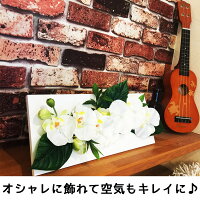 壁掛け額母の日モダン令和プレゼントギフト胡蝶蘭造花光触媒お祝い開店祝い花あす楽送料無料喜寿米寿祖母義母還暦100歳百寿白寿敬老の日誕生日長寿ココキャンフラワー