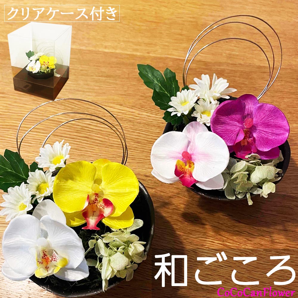 古希 プレゼント お祝い 胡蝶蘭 造花 光触媒 アレンジ ミニ 還暦 卒寿 百寿 100歳 母 女性 両親 結婚式 還暦祝い 金婚式 ギフト 退職祝い 両親 結婚記念日 30周年 新築祝い 法人 開店祝い 開業祝い 高級 ケース 母の日 敬老の日