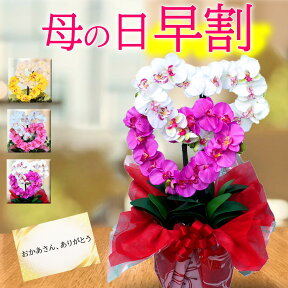 母の日 胡蝶蘭 鉢植え 早割 ギフト 花 アレンジメント 送料無料 古希 造花 光触媒 開業祝い プレゼント おしゃれ 開店 黄色 ピンク ハート 造花 サロン インテリア 喜寿 米寿 内祝い 敬老の日