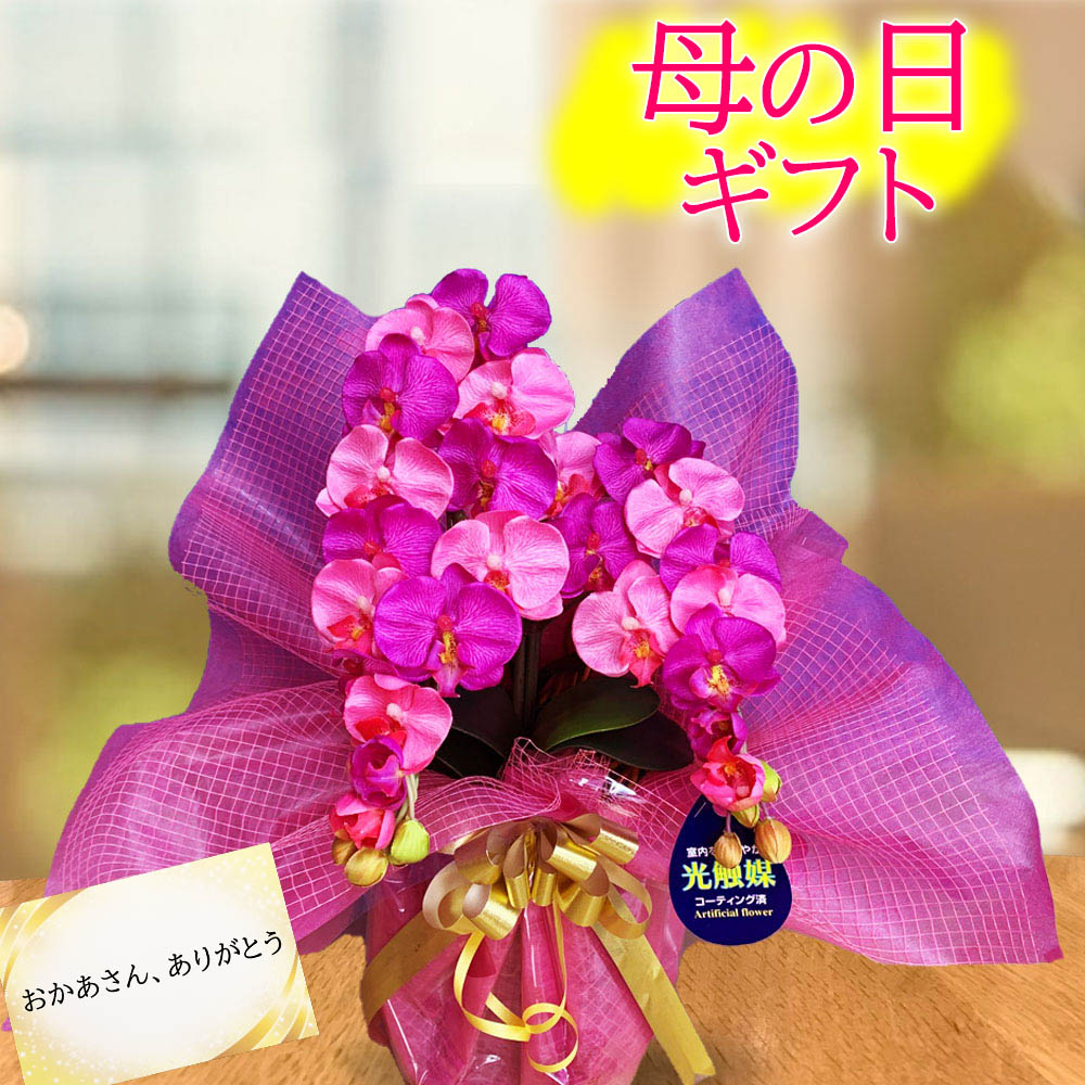 母の日鉢植え 誕生日 プレゼント 胡蝶蘭 ミニ 花 開店 お祝い ミディ 造花 ギフト 光触媒 結婚 ダブルカラー ワイン ピンク おしゃれ かわいい 2色 コチョウラン バースデー ココキャンフラワー 敬老の日