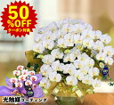 【50％OFFクーポン対象★P3倍】母の日胡蝶蘭 お祝い 花 鉢植え 光触媒 造花 開店祝い 7本立ち ギフト プレゼント 白 ミニ 黄色 誕生日 大きい 豪華 70代 80代 90代 100歳 水やり不要 床の間 和室 枯れない お歳暮 帰省暮 敬老の日 お買い物マラソン sale セール