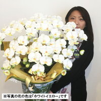胡蝶蘭黄色花送料無料造花光触媒7本立ちイエローミディ1本白黄インテリアオフィスあす楽開店祝い誕生日父の日母の日観葉植物大型フェイクココキャンフラワー