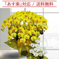 胡蝶蘭黄色花送料無料造花光触媒7本立ちイエローミディ1本白黄インテリアオフィスあす楽開店祝い誕生日父の日母の日観葉植物大型フェイクココキャンフラワー