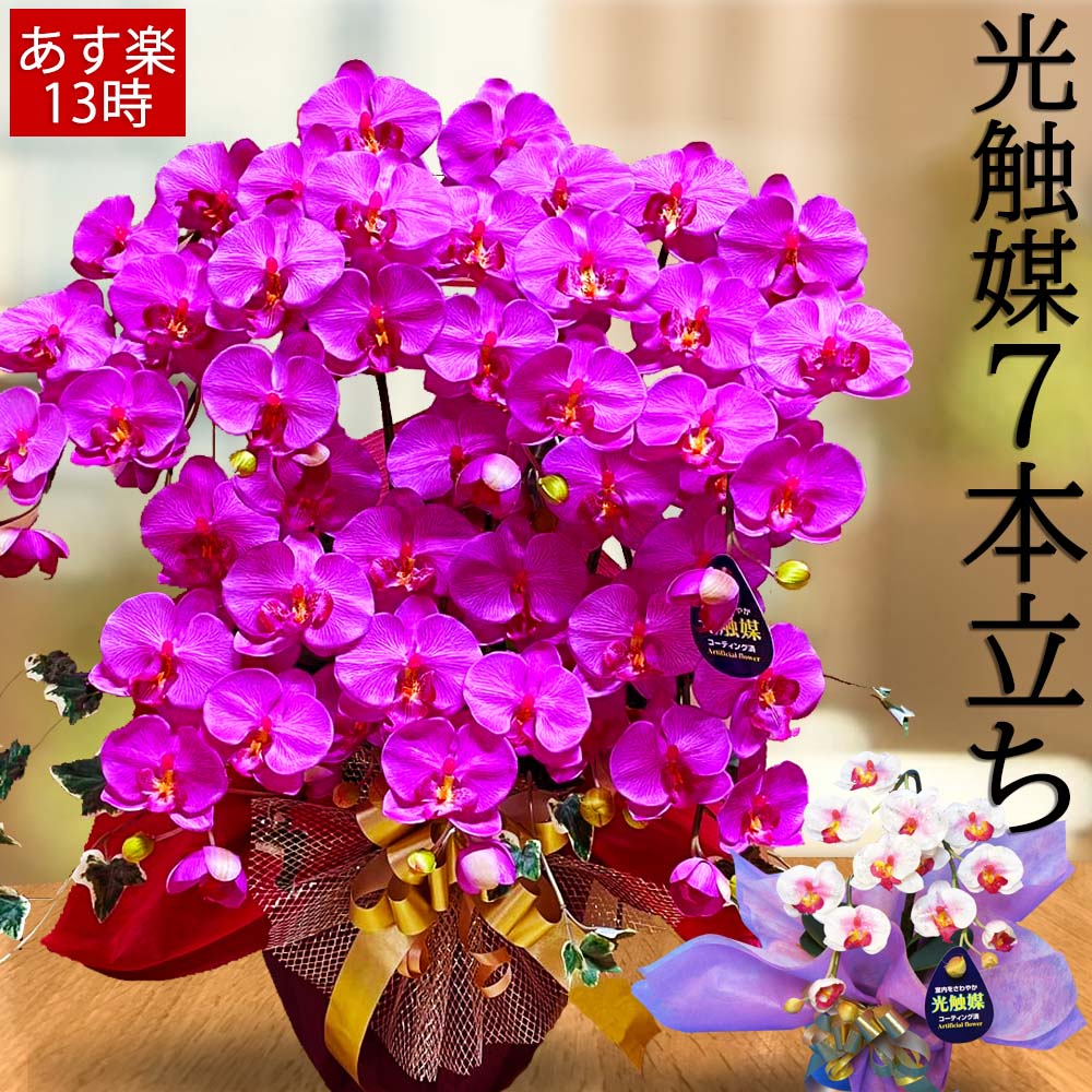 【スーパーSALE 半額】 鉢植え 紫 胡蝶蘭 事務所開き お祝い 喜寿 ギフト プレゼント 開店 7本 光触媒 白 ミニ 誕生日 造花 ラッピング サロン 蘭の花 大きい 木札 紫 はなやか 社長室 撮影 ス…