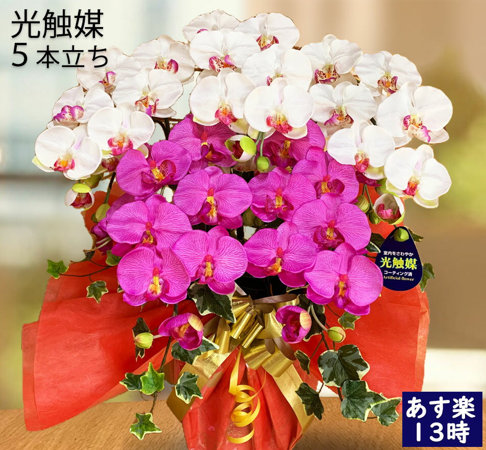 胡蝶蘭造花 母の日 ギフト 贈答用 お歳暮 帰省暮 結婚 記念日 誕生日 プレゼント 花 古希 お祝い 胡蝶蘭 開店 club 誕生日 楽屋見舞い 父の日 5本立ち ミックス 大きい 鉢植え 沖縄 全国 ギフト 就任 移転 引越し 敬老の日のサムネイル