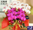 胡蝶蘭造花 母の日 ギフト 早割 贈答用 お歳暮 帰省暮 結婚 記念日 誕生日 プレゼント 花 古希 お祝い 胡蝶蘭 開店 club 誕生日 楽屋見舞い 父の日 5本立ち ミックス 大きい 鉢植え 沖縄 全国 ギフト 就任 移転 引越し 敬老の日