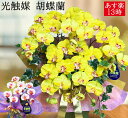 光触媒 花 消臭 祖母 誕生日 傘寿 サマーギフト 100歳 お祝い 黄色 80歳 胡蝶蘭 ギフト 枯れない プレゼント 金運 風水 インテリア 自宅 セレブ ...