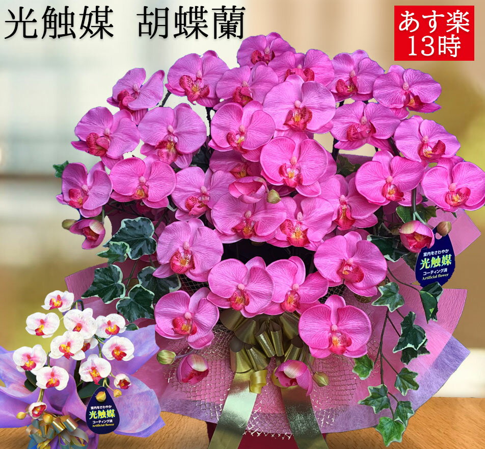 開店祝い 花 高知 喜寿 祝い 女性 開店 胡蝶蘭 造花 光触媒 開業 開院 ギフト プレゼント 5本 送料無料 鉢 ワイン アイビー ミディ ミニ セット 祖母 祖父 介護施設 老人ホーム 不動産 インテリア 木札 お中元 お歳暮