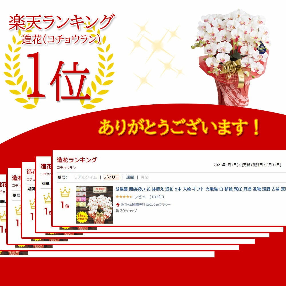 光触媒 胡蝶蘭 造花 開店祝い 5本 花 ギフト プレゼント 鉢 開業 開院 インテリア 母の日 敬老の日 父の日 お供え 送料無料 お中元 お歳暮 ホーム 介護 高級 立て札 枯れない ペット お祝い 鉢植え 大輪 白 移転 就任 昇進 光触媒 胡蝶蘭 造花 開店祝い 5本 花 ギフト プレゼント 鉢 開業 開院 インテリア 母の日 敬老の日 父の日 お供え 送料無料 お中元 お歳暮 ホーム 介護 高級 立て札 枯れない ペット お祝い 鉢植え 大輪 白 移転 就任 昇進