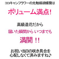 ミディ胡蝶蘭ミニこちょうらんカラフルギフトプレゼントあす楽送料無料限定造花光触媒インテリア撮影小物
