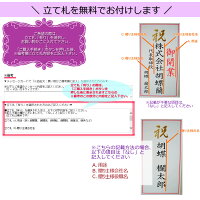 胡蝶蘭3本立ち大輪お祝い開店祝い造花開業祝い花光触媒ホワイト白ギフトプレミアム母の日移転祝い就任祝昇進祝退職祝還暦祝い古希米寿お供えプレゼント送料無料鉢スタンドインテリアあす楽誕生日九州父の日ココキャンフラワー